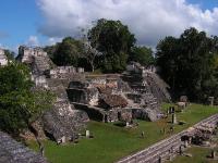 7884 Tikal 